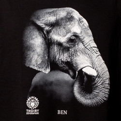 T-shirt Eléphant