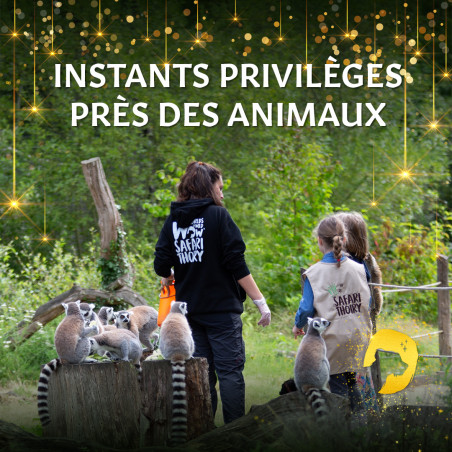 E-Carte Cadeau Instants Privilèges